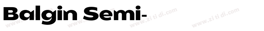 Balgin Semi字体转换 Balgin Semi字体转换